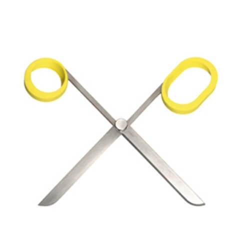 Scissors (Target)